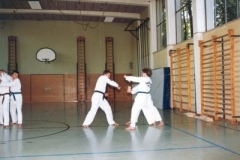 13faust90