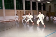 5demo87