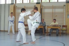 Bild-036