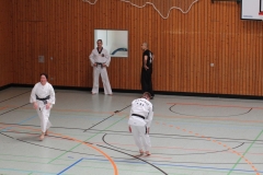Budo-Fruehlingslehrgang-2019-IMG_7741