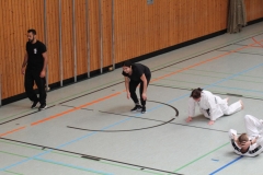 Budo-Fruehlingslehrgang-2019-IMG_7742
