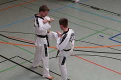 Budo-Fruehlingslehrgang-2019-IMG_7745