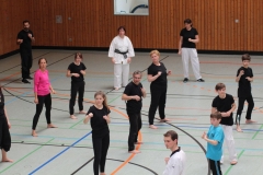 Budo-Fruehlingslehrgang-2019-IMG_7747
