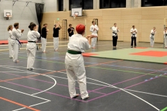 13559060_1723323851268202_883888666665524816_o