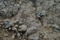 IMG-20170521-WA0084