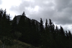IMG-20170521-WA0121