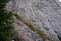 IMG-20170522-WA0008