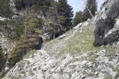 IMG-20190519-WA0036