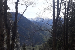IMG-20190519-WA0041