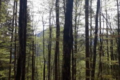 IMG-20190519-WA0044