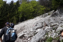 IMG-20190519-WA0045