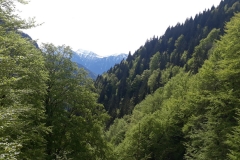 IMG-20190519-WA0046