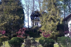 IMG-20190519-WA0052