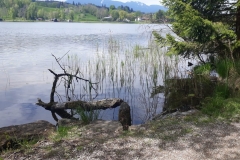IMG-20190519-WA0053