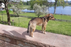 IMG-20190519-WA0056