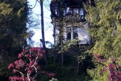 IMG-20190519-WA0063