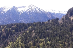 IMG-20190519-WA0076