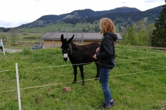 IMG-20190519-WA0085