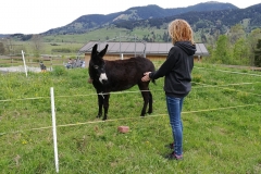 IMG-20190519-WA0092