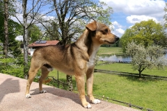 IMG-20190519-WA0096