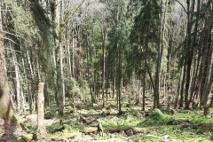 IMG-20190519-WA0106