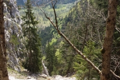 IMG-20190519-WA0109