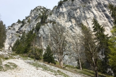 IMG-20190519-WA0110