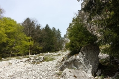 IMG-20190519-WA0112