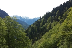 IMG-20190519-WA0113